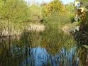 2011-10-20 11-54-07 Rando Parc de La Courneuve CGn